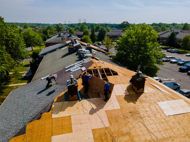 Quick and Trustworthy Emergency Roof Repair Services in The Hammocks, FL
