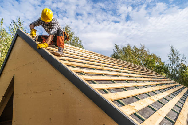 Best Storm Damage Roof Repair  in The Hammocks, FL