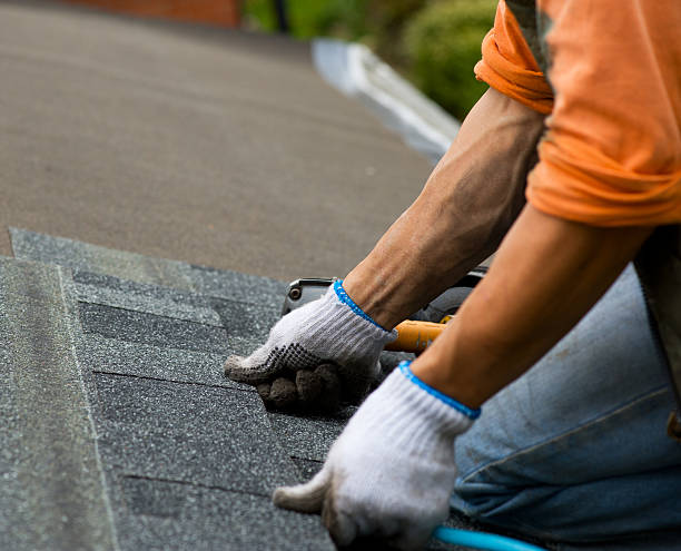 Best Flat Roof Repair Services  in The Hammocks, FL