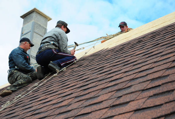 Best Flat Roof Repair Services  in The Hammocks, FL